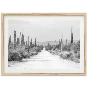 Fine Art Baja Desert Print - Black And White Southwest Cactus Road Landscape Framed Fine Art Photography Home Wall Decor Poster No Frame 