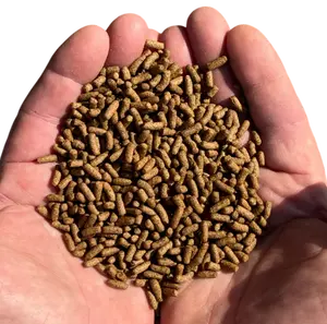 42% Advanced High Protein Pond or Lake Fish Feed (40 lb Bag) - Edge's Fish Smack