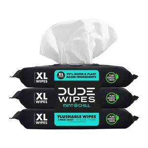 Wipes Extra Large Mint Chill Flushable Wipes 3 - 48 Wipe Packs