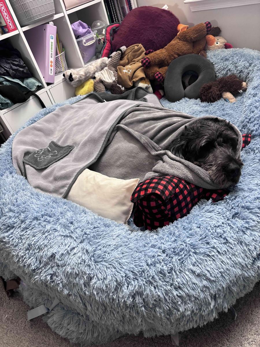 Item: 3-in-1 Flexible Baby Blue(68x44x12)