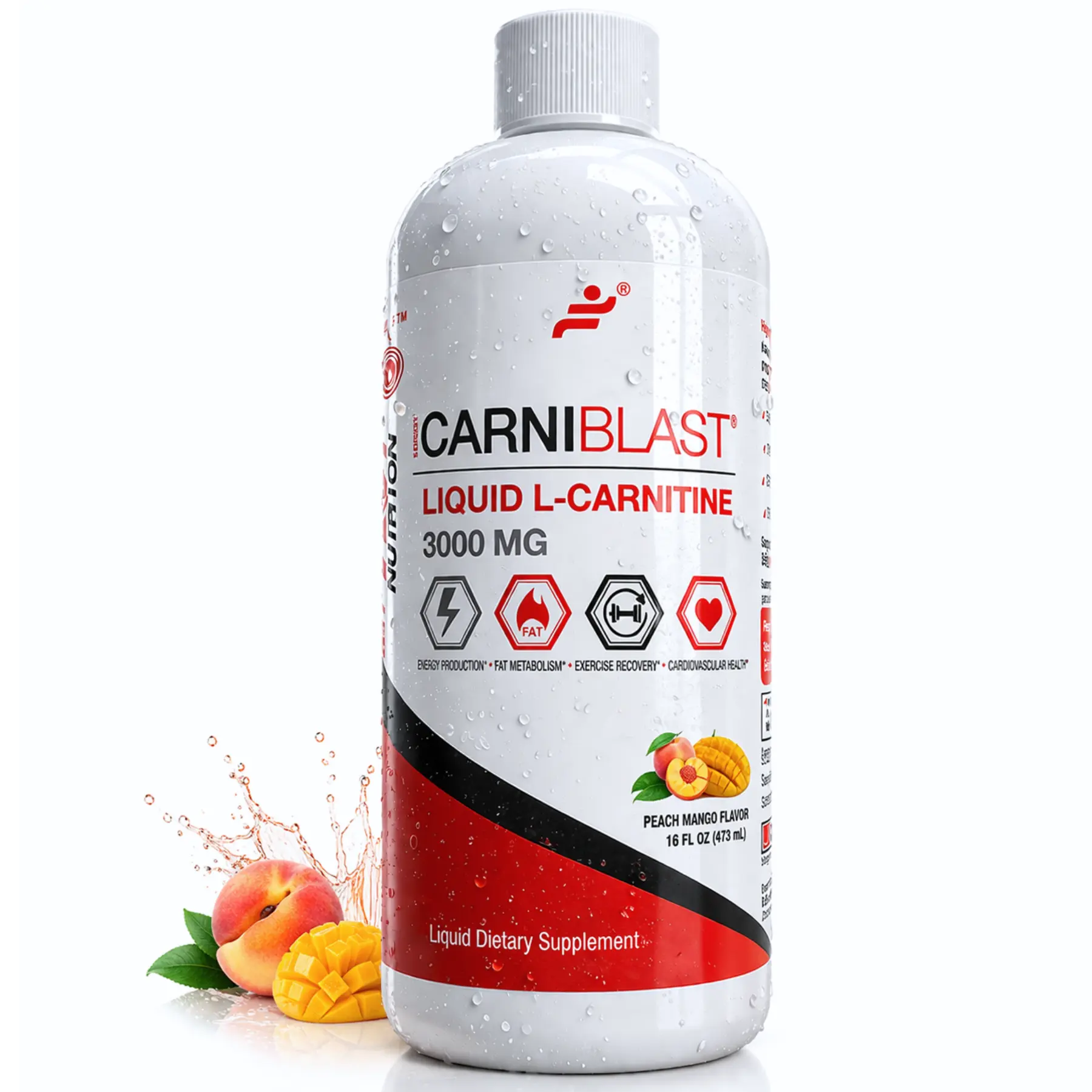 CarniBlast Liquid L-Carnitine 3000mg Peach Mango – Premium Carnipure L-Carnitine for Energy, Fat Metabolism, Workout Performance, Endurance & Recovery. Sugar-Free, Gluten-Free, Non-GMO, 16 fl oz