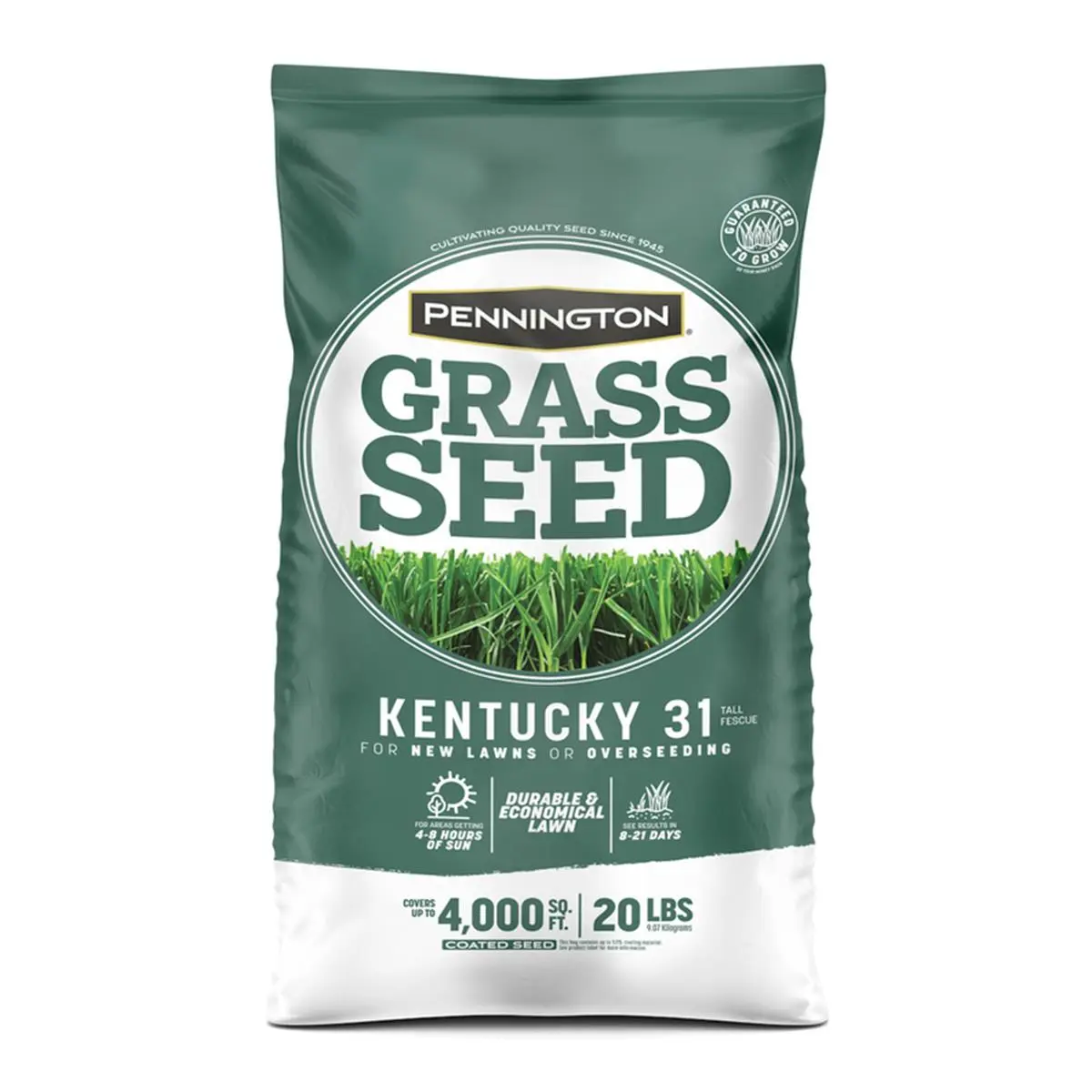 Pennington 20 lbs Kentucky 31 Tall Fescue Grass Seed Packet Grass - Medium Shade Tolerant, Disease-Resistant, Easy-to-Establish, Durable, Economical Solution for New Lawns (Home Improvement Garden Supplies)