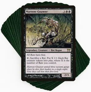 Marrow-Gnawer - Rats