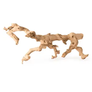 Galapagos Walking Wood Grapevine Branch Natural 19-24in