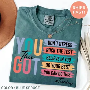 Comfort Colors Test Day Teacher T-Shirt, State Testing TShirt, Test Coordinator Final Exam Week Teacher Team Shirt, Motivational Inspiration Tee