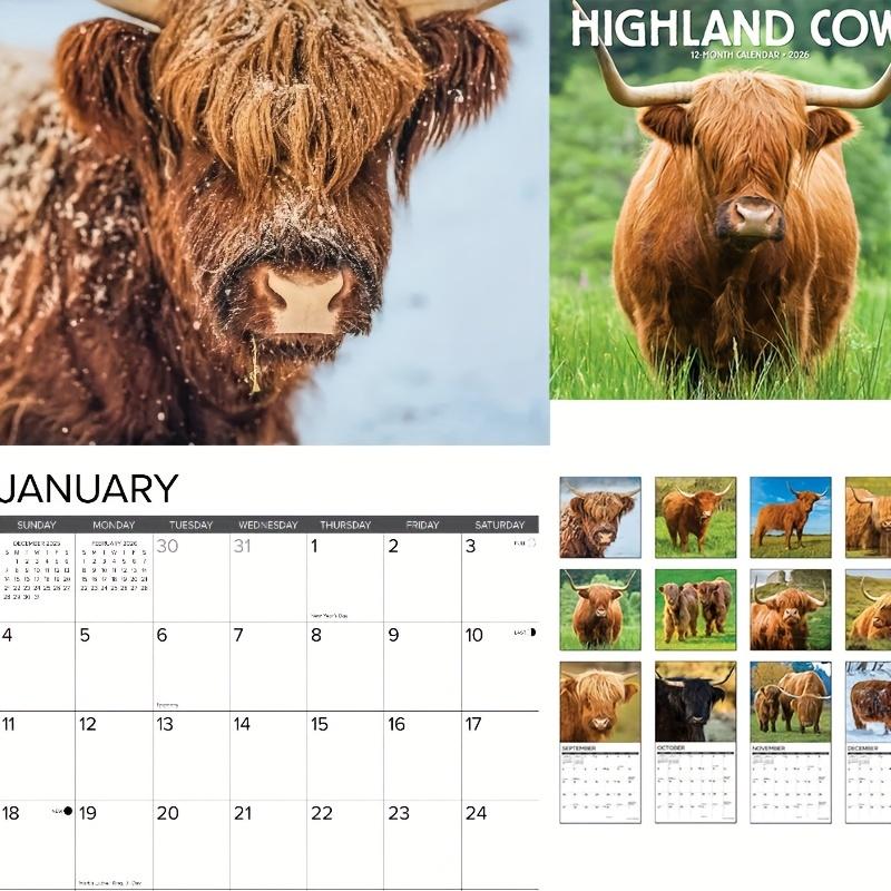 2026 Highland Cow Calendar, Scottish Cow Wall Planner, Farm Animal Lover's Monthly Schedule, Annual Plan, Home Office Decor Gift