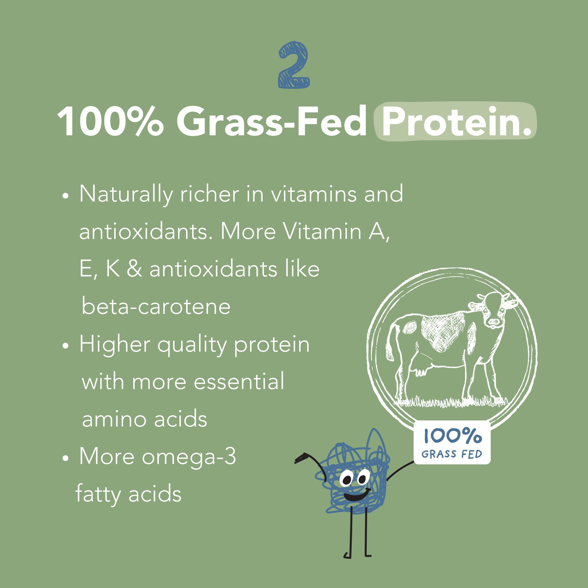 Nurished Mighty Milk All-in-One for Kids - 8g Protein, Multivitamin, Probiotics, Greens - 15-30 Servings - Powder, Lightweight & Energy Boosting Formula