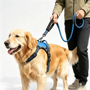 Large Dog Adjustable No-Pull Harness - 600D Oxford Durable Vest, Handle, Front & Back Metal Rings, Reflective Stitching, Quick-Release Buckles, Comfortable Mesh Padding for Walking, Training