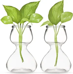 Propagation Stations  Self-Standing Hourglass Glass Vases for Hydroponic  Growth   Double Bubble Design for Home Decor (Set of 2)