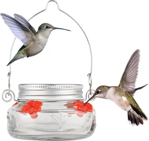 Nature's Way Mason Jar Hummingbird Dish Feeder, Clear 4" dia.