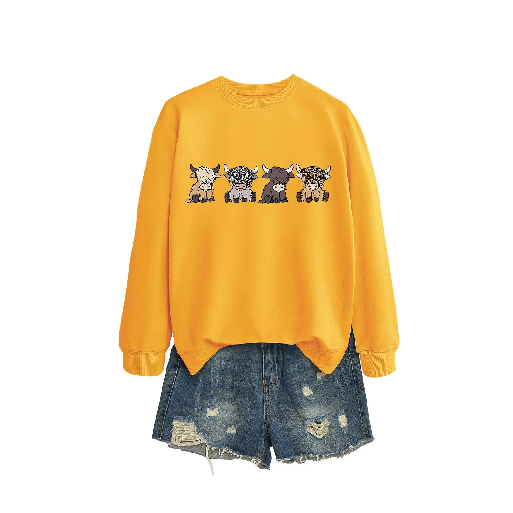 Yellow hoodie (color picture)