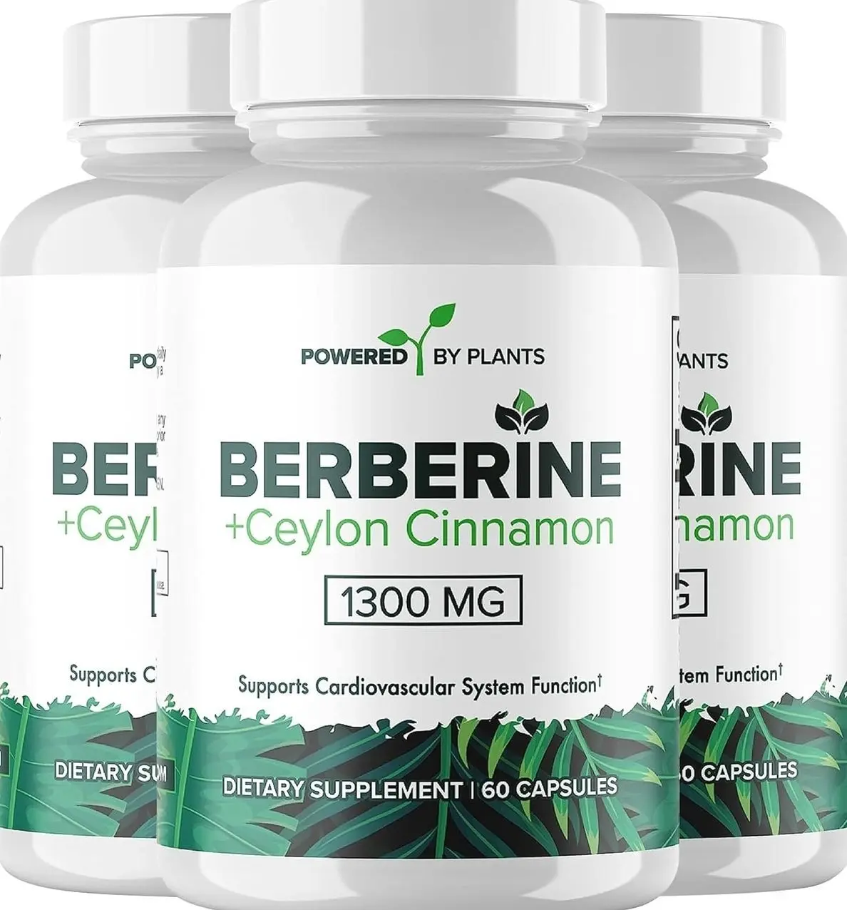 Pure Berberine Supplement - 1300mg Berberine with Ceylon Cinnamon for Metabolism & Immune System Support - 1 Pack of 180 Servings