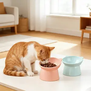 Slanted Neck Protection Pet Feeding Bowl, Large Diameter Plastic Bowl, Elevated Whisker Friendly Shallow Bowl, Anti Vomiting Anti-Tip Design for Dog & Cat