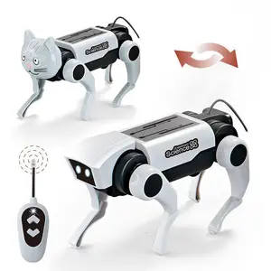 Remote Control Robot Dog Toy, Electric Scientific Experiment Kit, DIY Science Experiment Kit, Educational Toy, Birthday Gift