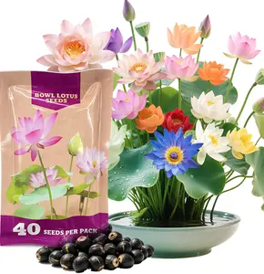 Lotus Seeds for Planting in Water | 40 PCS Mixed Color Bowl Lotus Seeds for Indoor Bonsai, Outdoor Ponds & Garden | Non-GMO Water Lily Aquatic Plant Seeds