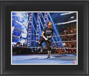 Sami Zayn WWE Framed Autographed 16" x 20" Elimination Chamber Photograph - Fanatics Authentic Certified