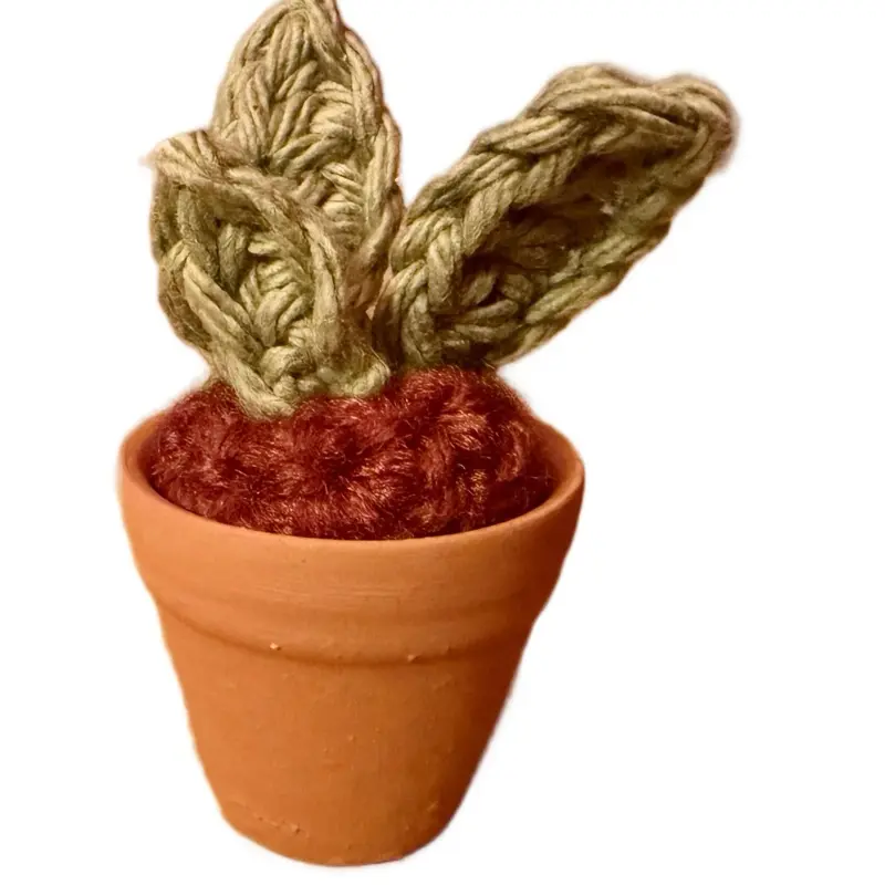 Handmade Crochet Succulent in Mini Terracotta Pot