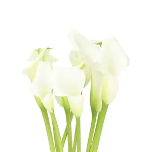 Mini Calla Lily Crystal White