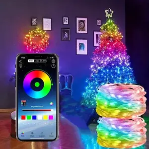 5M/10M USB LED Copper Wire String Lights USB Dream Color Fairy Lights Bluetooth Colorful Home Christmas Tree Wedding Decor
