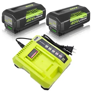 2 Packs 6.0Ah Li-ion OP40601 Battery and OP401 Charger Replacement for Ryobi 40V Battery