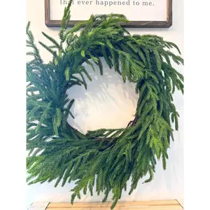 Norfolk Pine Wreath 12"