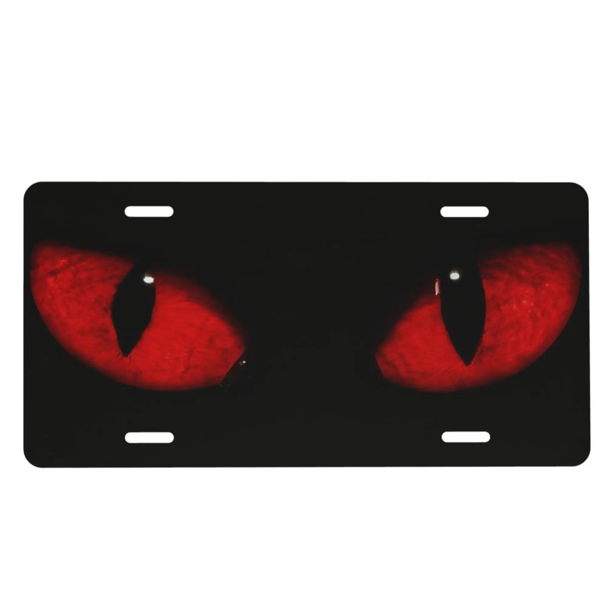 cat front licence plate - TikTok Shop