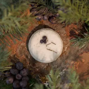 Huckleberry Shampoo Bar