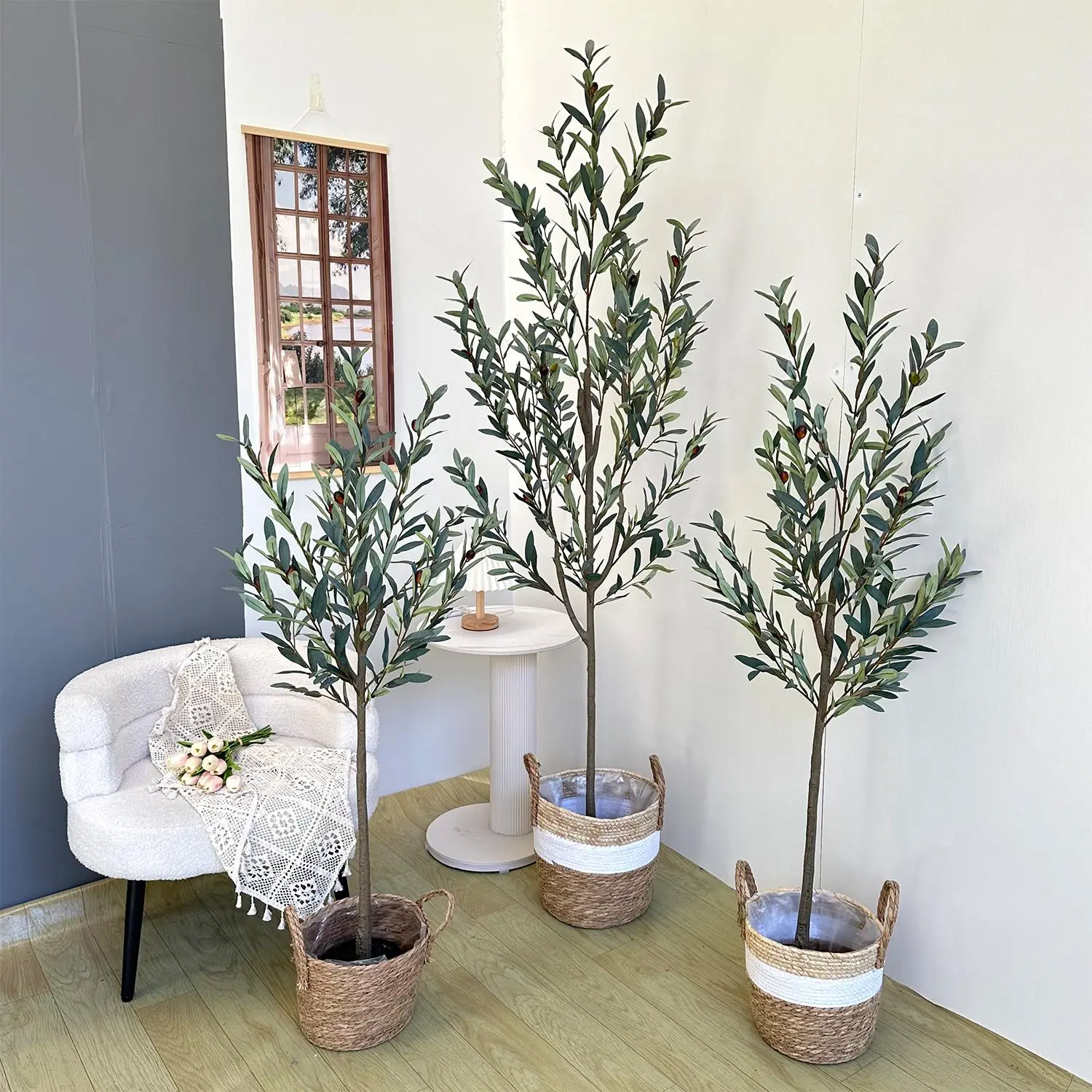 colorama dracaena plant Dracaena 'Colorama' – Urbane Eight Inc main image 1