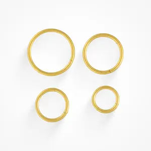 EVRY JEWELS Gold or Silver Plated Women's Hypoallergenic Evryday Nose Ring