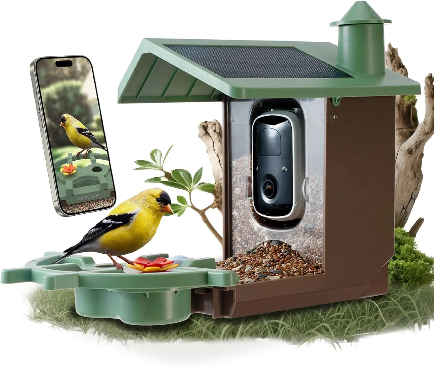 Smart Bird Feeder with Camera Solar Powered Outdoor - K HD Live Video, AI Bird ID, Squirrel-Proof, Instant Alerts & IP Weatherproof Outside, Great Gift for Familys & Friends
