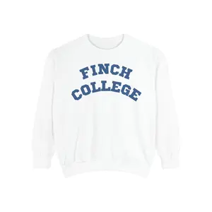 White Finch College Sweatshirt TSITP Inspired, Blue Letter Finch College Crewneck, Preppy Academia Pullover, New England University Outfit