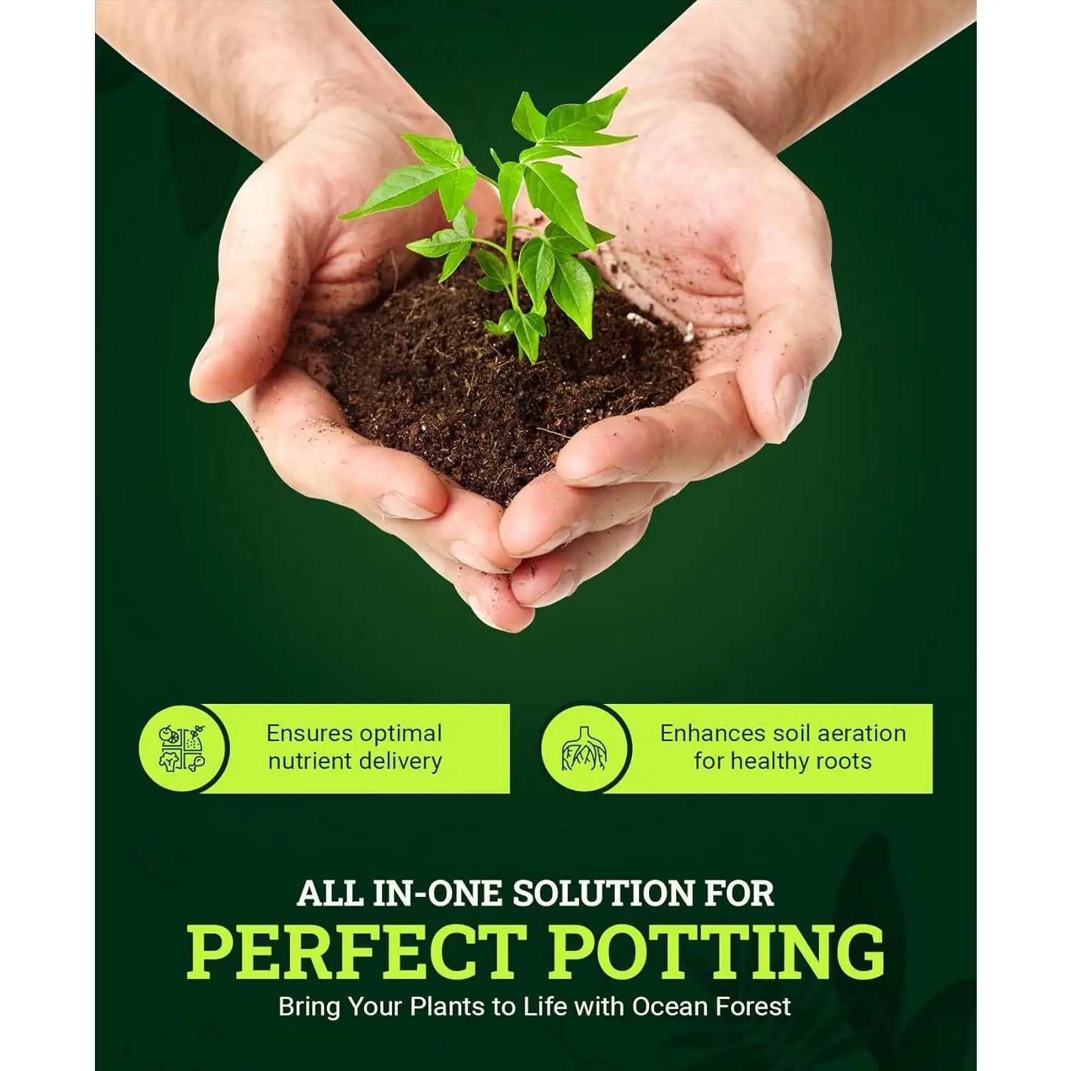 Ocean Forest Potting Soil, 12qt, Light & Aerated for Container Plants, pH Adjusted, Moisture Retaining (2-Pack)