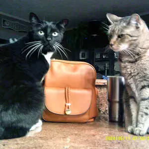 Product Review of Digital Camera, 1080P & 44MP, 32G Memory Card, 16X Digital Zoom, Compact & Portable Digital Camera Photos For Teens & Beginners, Gift #TOP PICKS,Boys & Men gifts from l**e