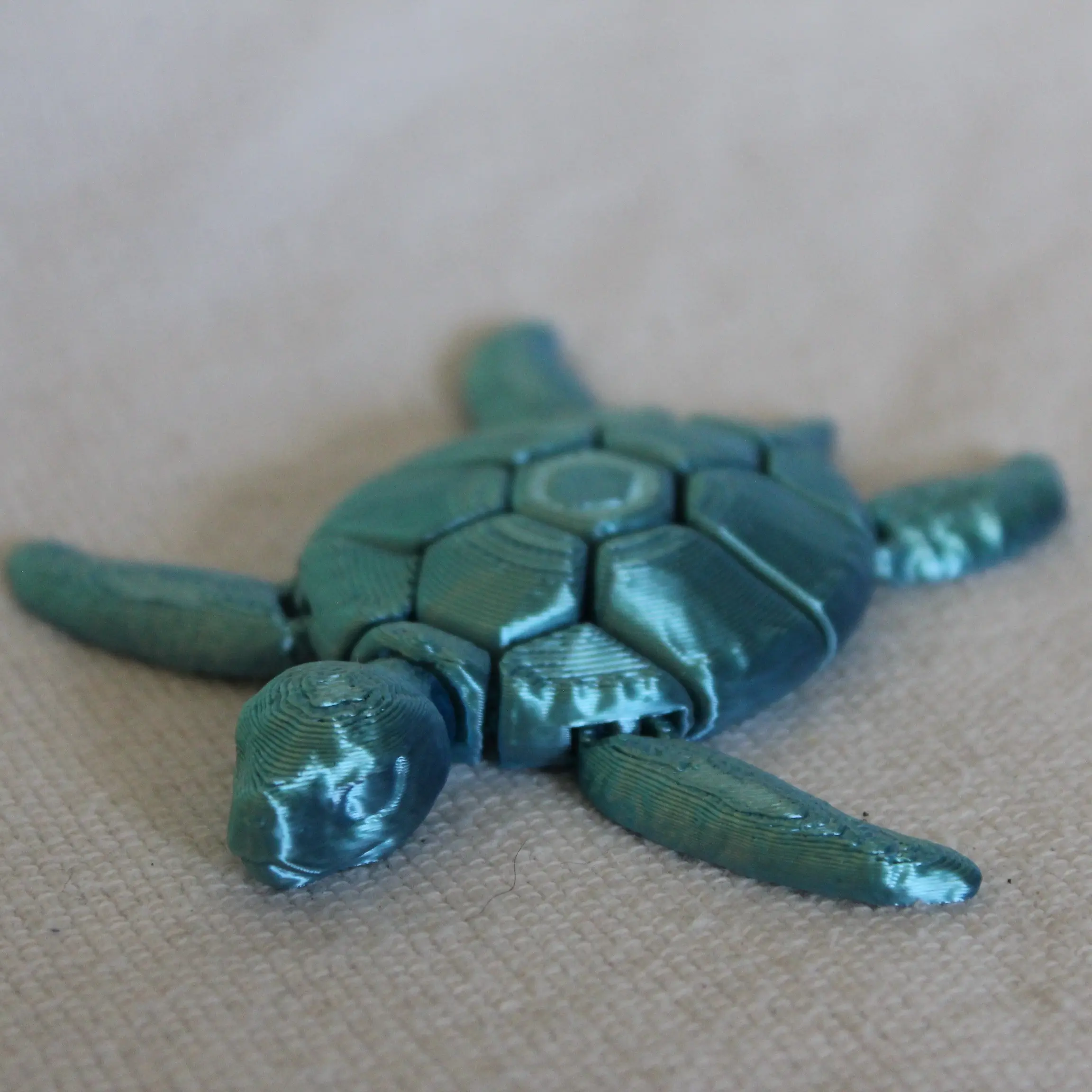 Flexing Turtle Stress Toy