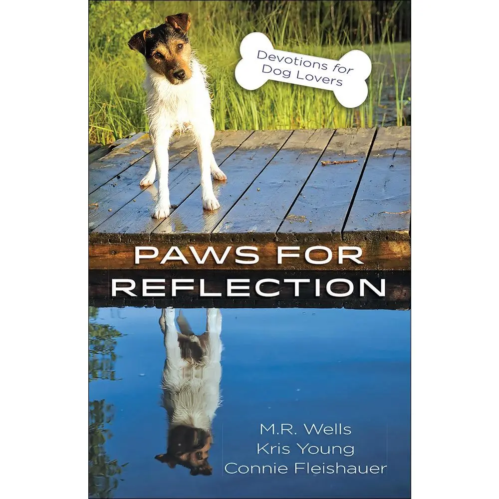 USED-Paws for Reflection: Devotions for Dog Lovers by Wells, M. R. (Paperback)