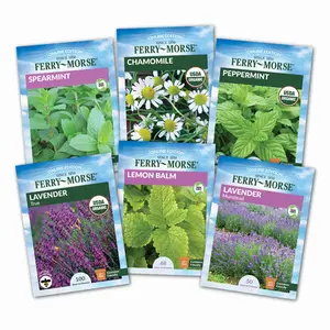 Tea Herb Seed Variety Pack - 6 Pack Fragrant Plant Seeds Flower Seed Pack