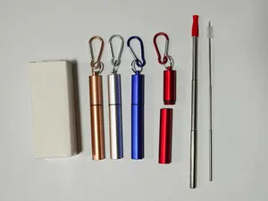 Cruise Ship Essentials,4-Pack reusable Collapsible Stainless Steel Drinking Straws with Aluminum Case,Cleaning Brush,and Keychains-Silver,Blue,Red,Green