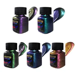 35g Chameleon Paint Set, 5 Colors Metallic Acrylic Paints, Adjustable Colors, Ideal for DIY Projects, Crafts, Leather, Rocks, Ceramics, Furniture, Garden Decor, DIY Painting Supplies