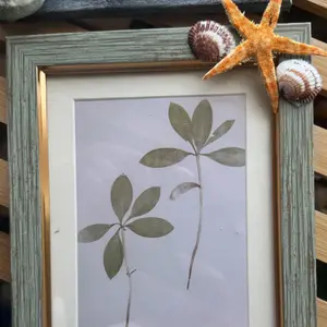 Seashell Handmade Picture Frame Home Beach Decor with Starfish and Shell Accents for Coastal Home Decor picture frame