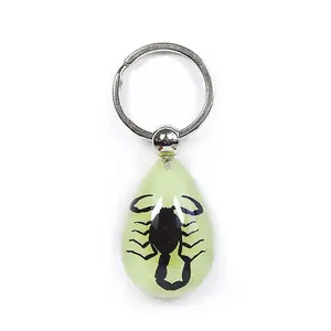Real Black Scorpion Keychain Glow In The Dark Real Nature Gift