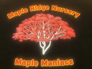 Maple Maniac Tee Shirt