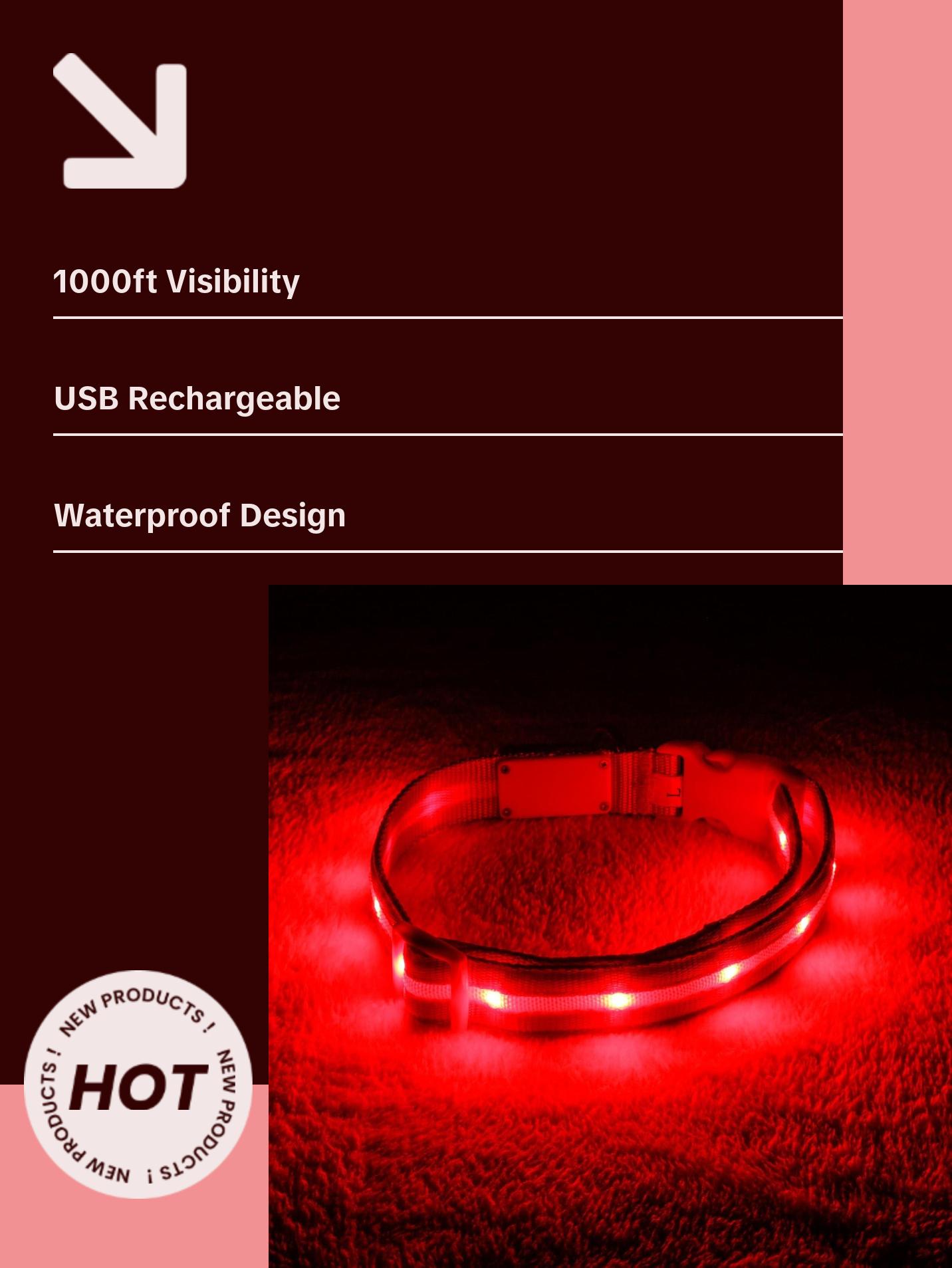 BLAZIN Brightest Light up Dog Collars - the Original LED Dog Collar with 1,000 Feet of Visibility - USB Rechargeable Waterproof Dog Collar Light - Dog Lights for Night Walking - USA Brand Blazin