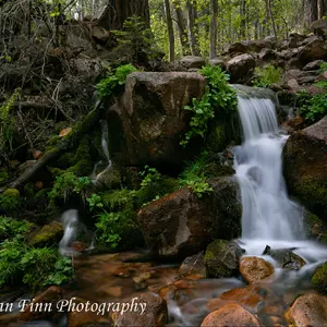 Signed Photo Print - "Spring Spirit" - Perfect for home and office decor