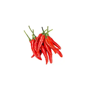Malagueta Pepper Seeds - Brazilian Heirloom with Unique Flavor and Fiery Kick