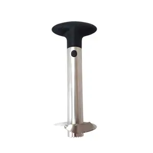 Pineapple Slicer / Corer