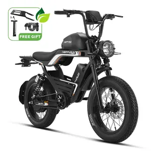 HappyRun G100 Pro 6000W Electric Bike Dual Battery
