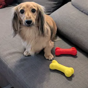 Playology Chew Bones - Durable Dog Toys in Vibrant Red & Yellow Colors for Endless Fun and Durability