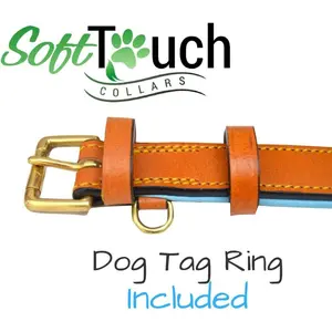 Padded Leather Dog Collar, Tan and Teal, Medium, 20" -Neck Size 14.5" to 17.5" Inches