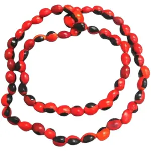 Collar de Peonia, Paeonia Santeria Ifa, Necklace Semillas de Peony