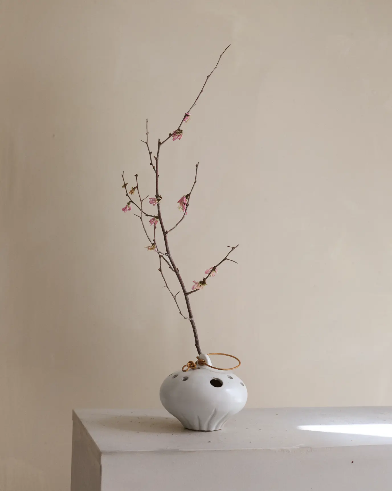 Pinker Times The White Lotus Ceramic Frog Vase - Elegant Design with Unique White Lotus Pattern For Flower Arranging